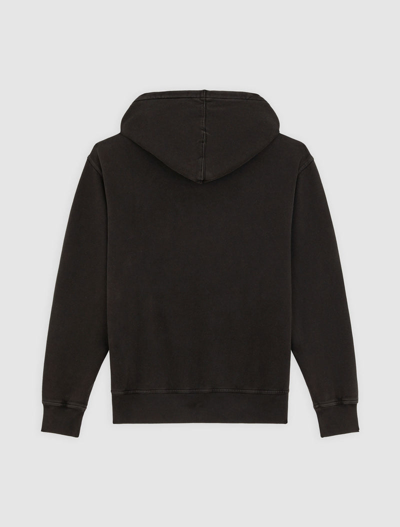 Plentywood Pullover Hoodie