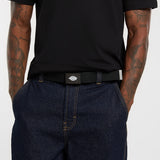 Orcutt Canvas Belt