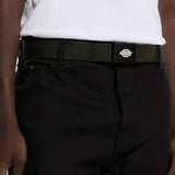 Orcutt Canvas Belt