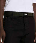 Orcutt Canvas Belt
