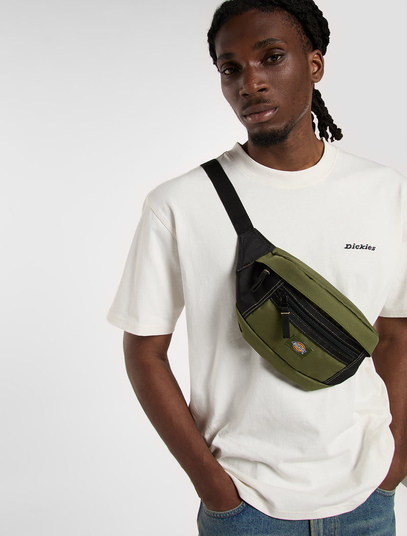 Ashville Pouch Bag