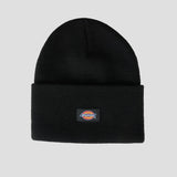 Tall Cuff Beanie