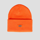 Tall Cuff Beanie