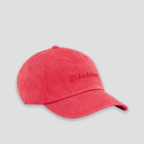 Washed Logo Dad Cap