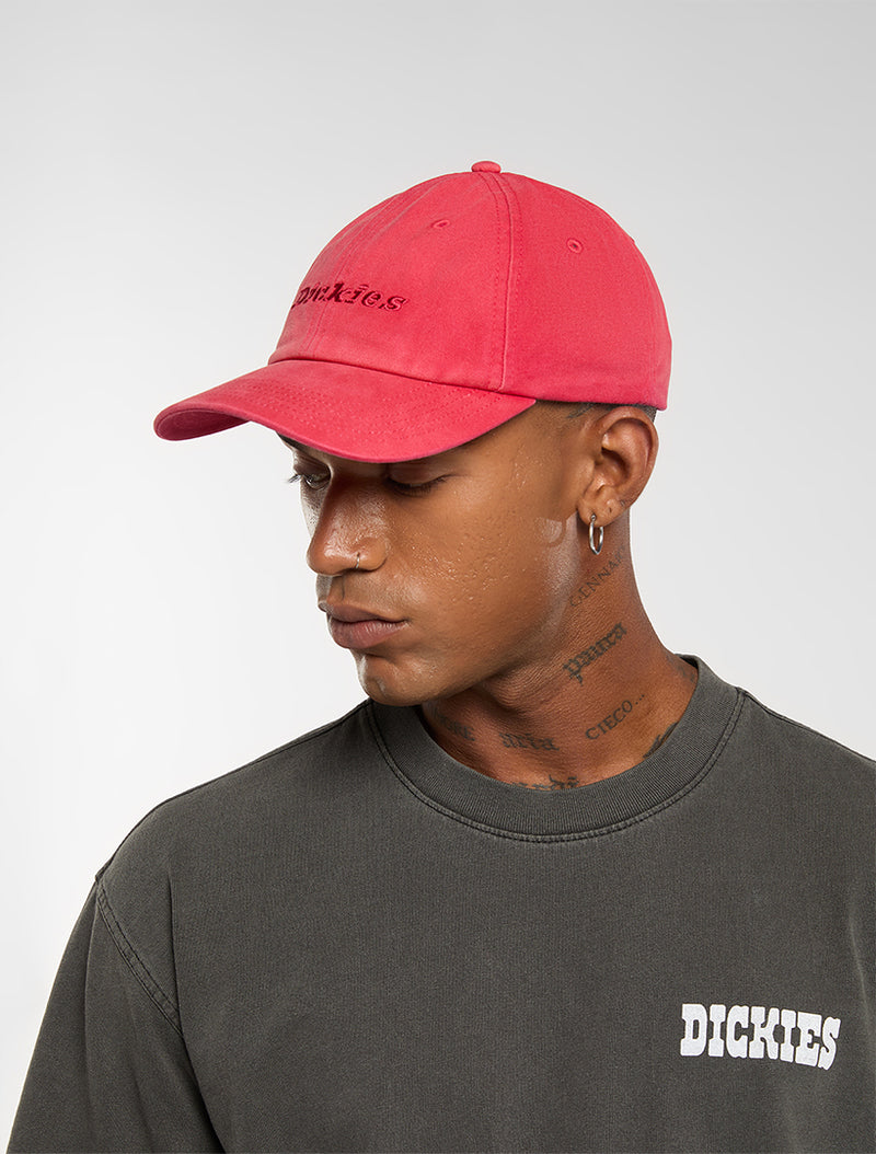 Washed Logo Dad Cap