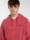 Plentywood Pullover Hoodie