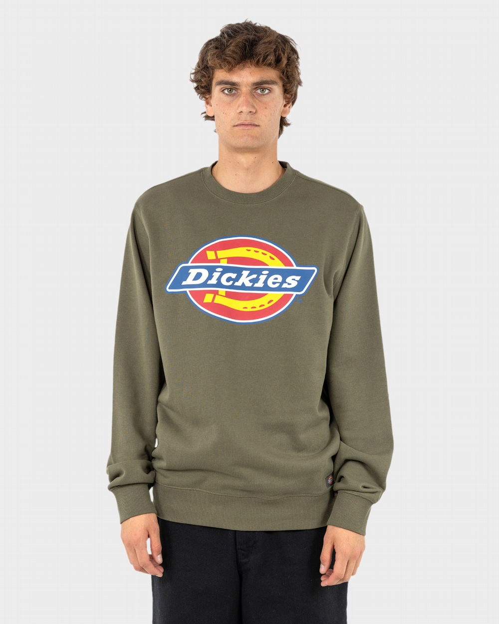 Dickies Logo Sweater | Dickies Australia