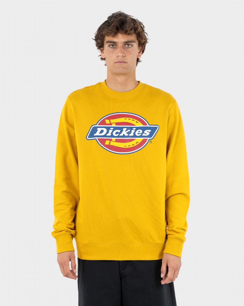 Dickies Logo Sweater | Dickies Australia