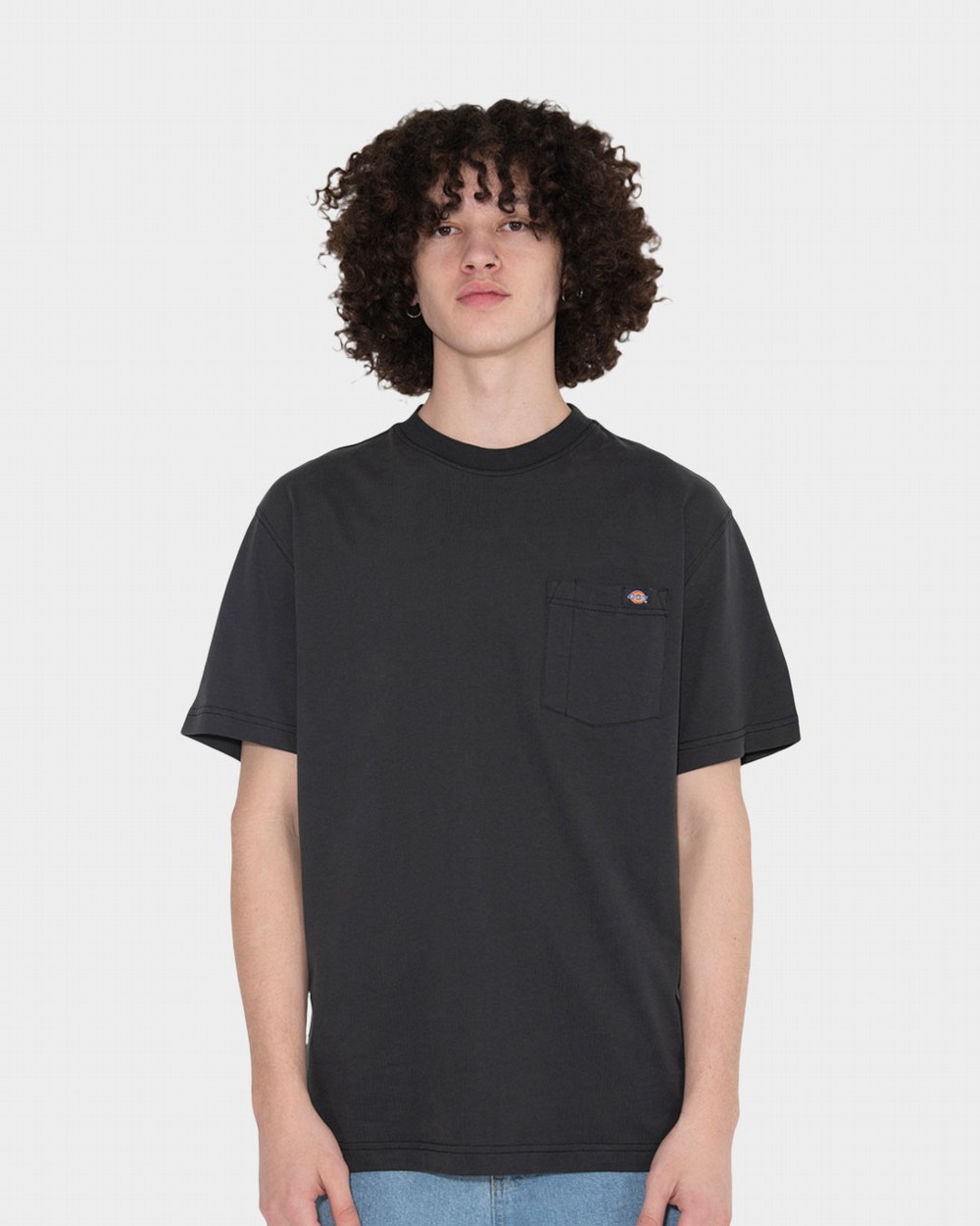 Porterdale Tee | Dickies Australia