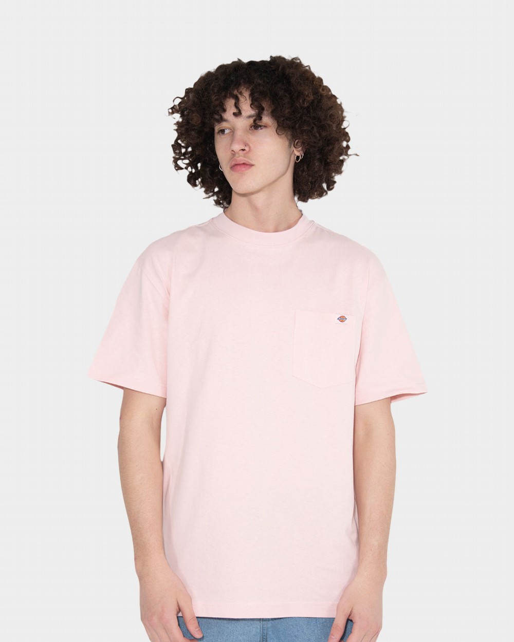 Porterdale Tee | Dickies Australia