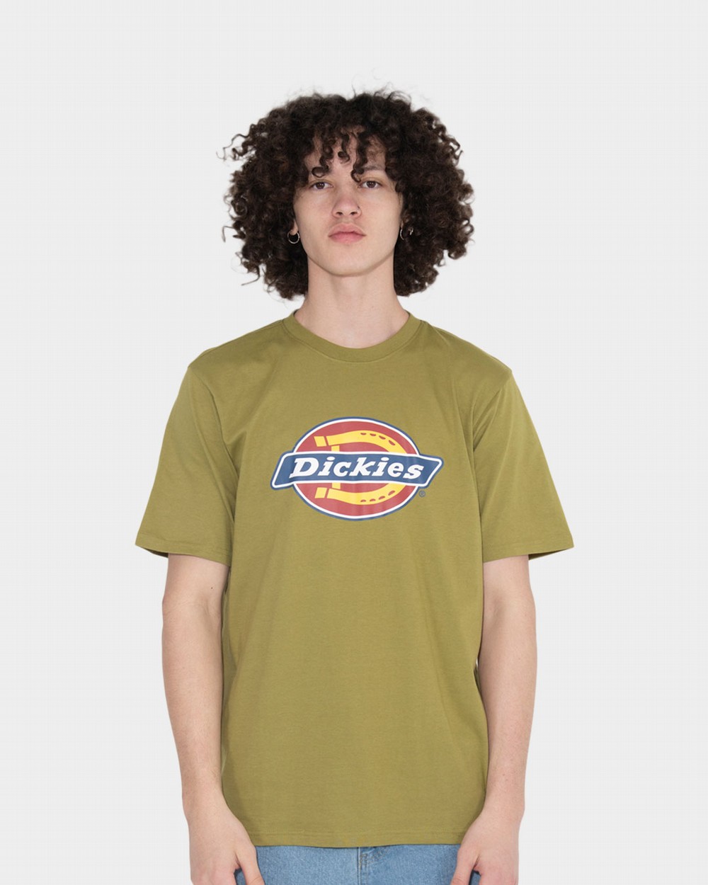 Mens Logo Tee | Dickies Australia