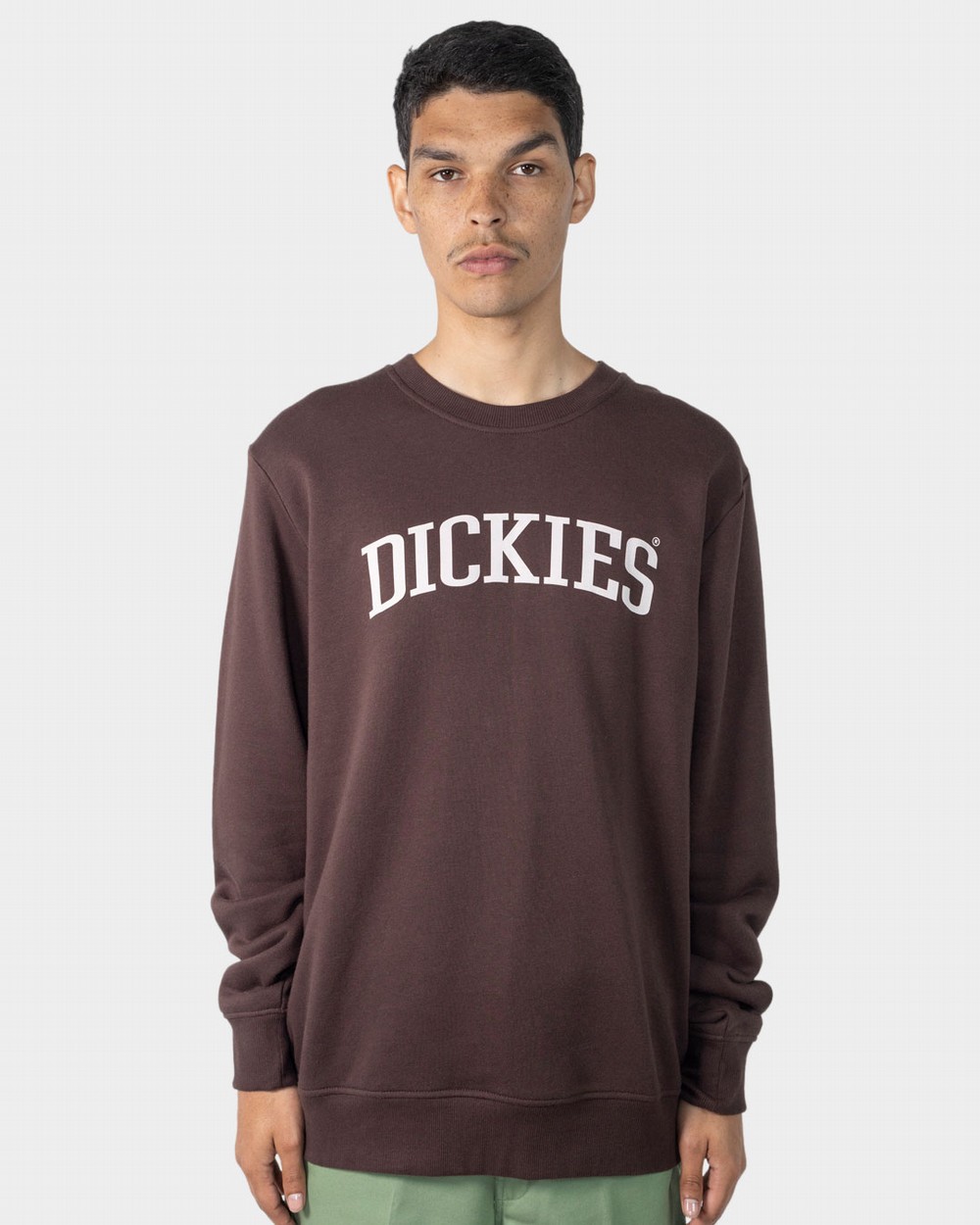 Collegiate 66 Crew Neck Sweater | Dickies Australia