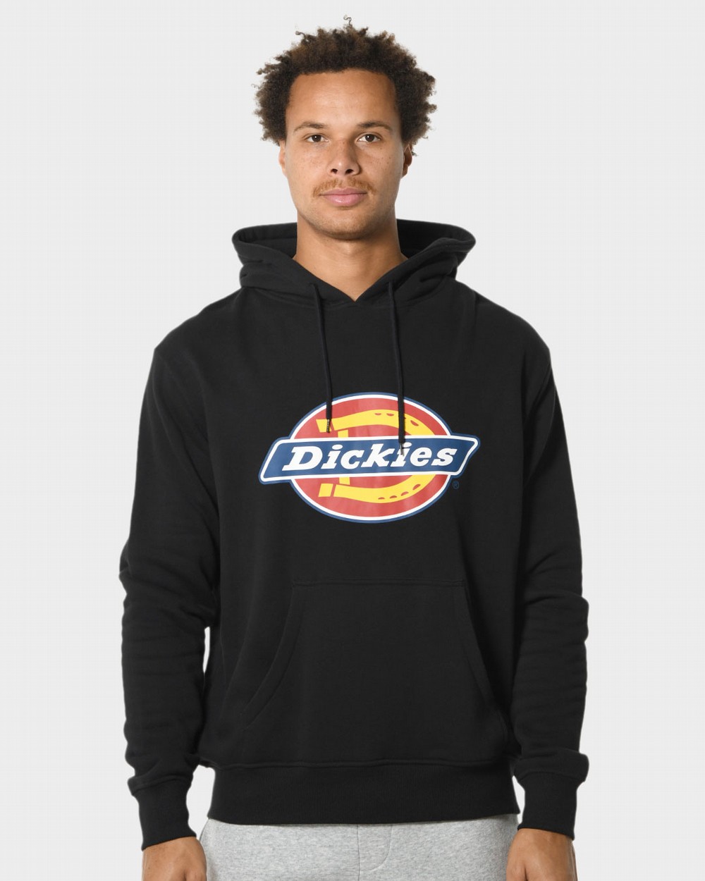 Classic Logo Pull Over Hoodie | Dickies Australia