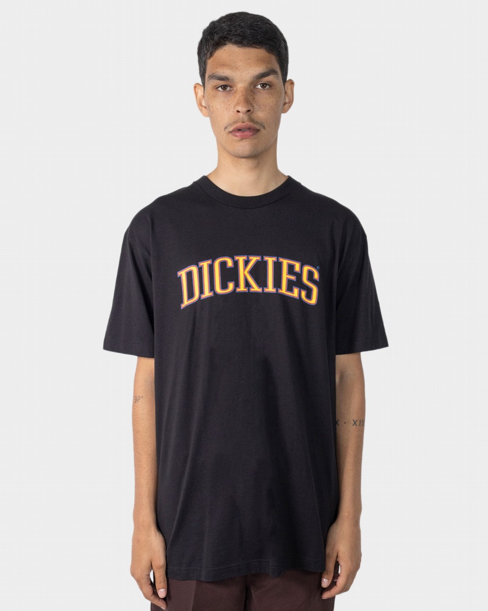 Collegiate Tri-Colour Tee | Dickies Australia