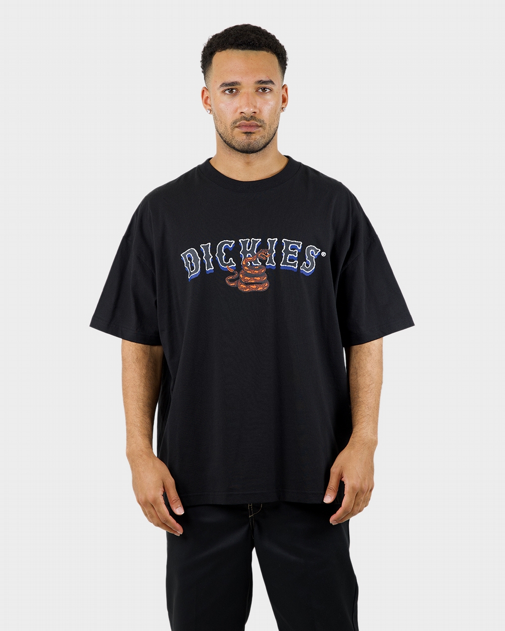 Texas Snakes 330 Oversized Fit S/S Tee | Dickies Australia