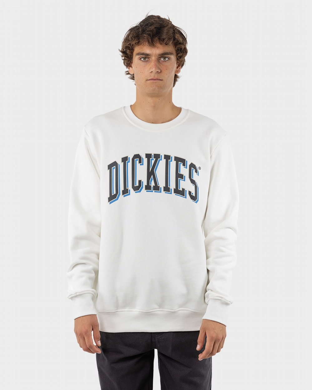 Longview Crew Neck Sweater Dickies Australia