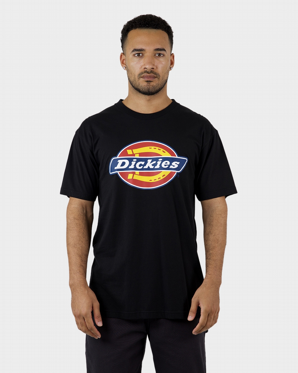 Classic Logo Regular Fit S/S Tee | Dickies Australia