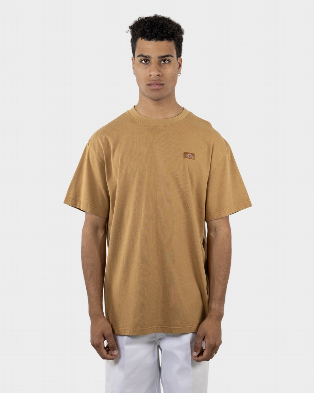 Classic Label Washed Oversized Fit S/S Tee | Dickies Australia