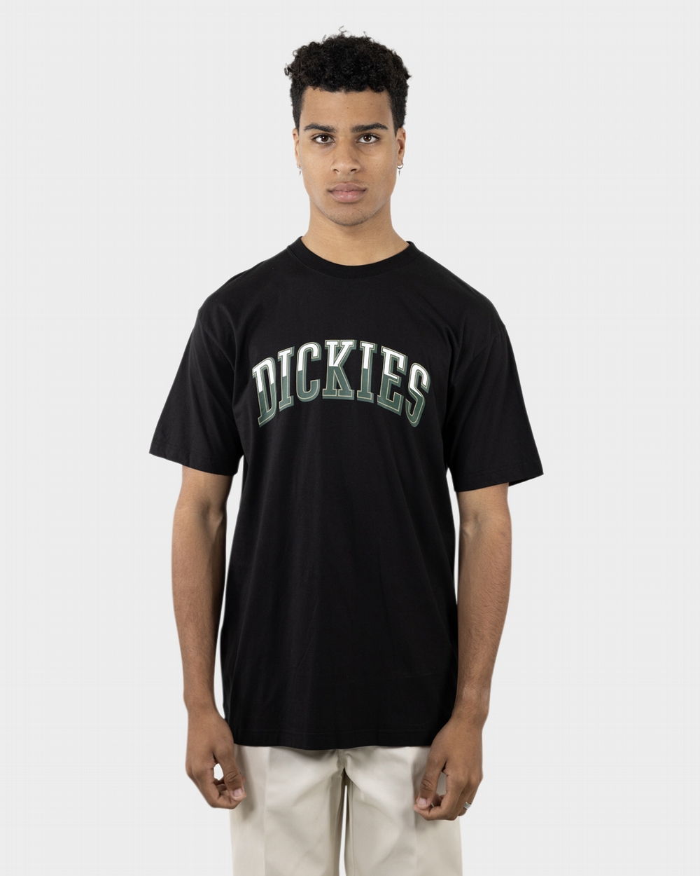 Big League Regular Fit S/S Tee | Dickies Australia