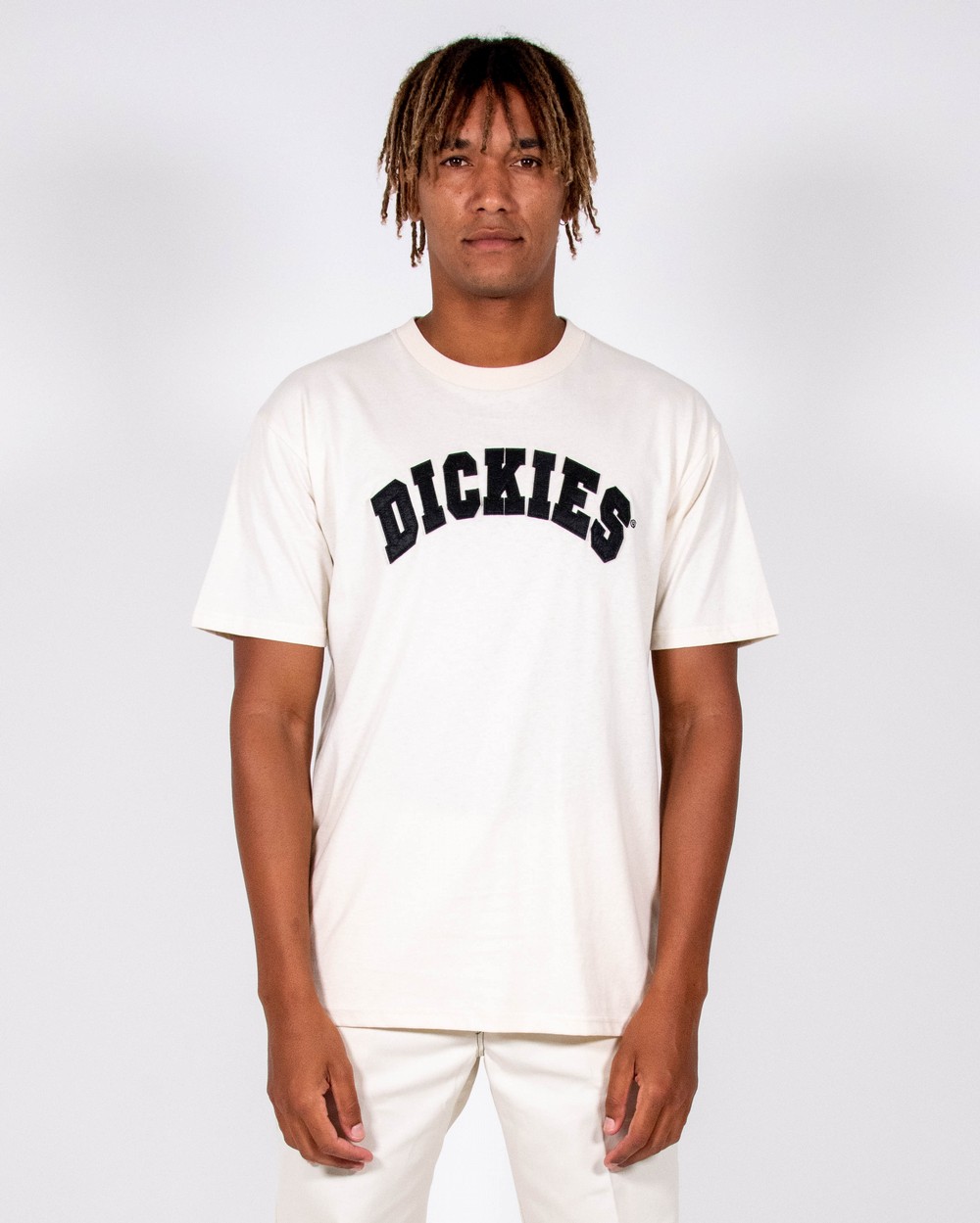 Princeton Tee | Dickies Australia