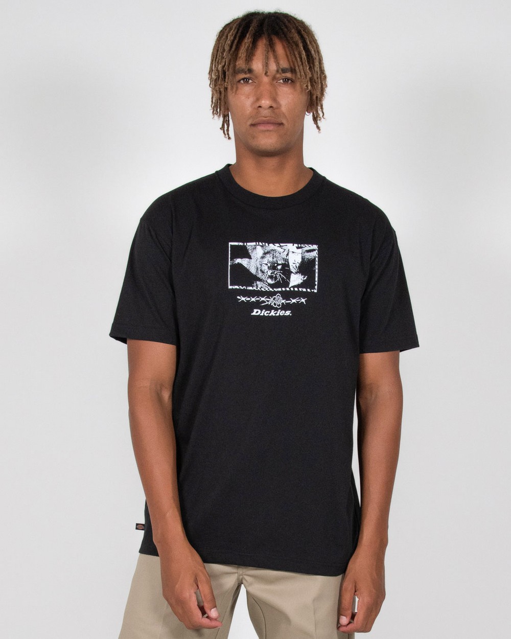 Texas Cat Tee | Dickies Australia