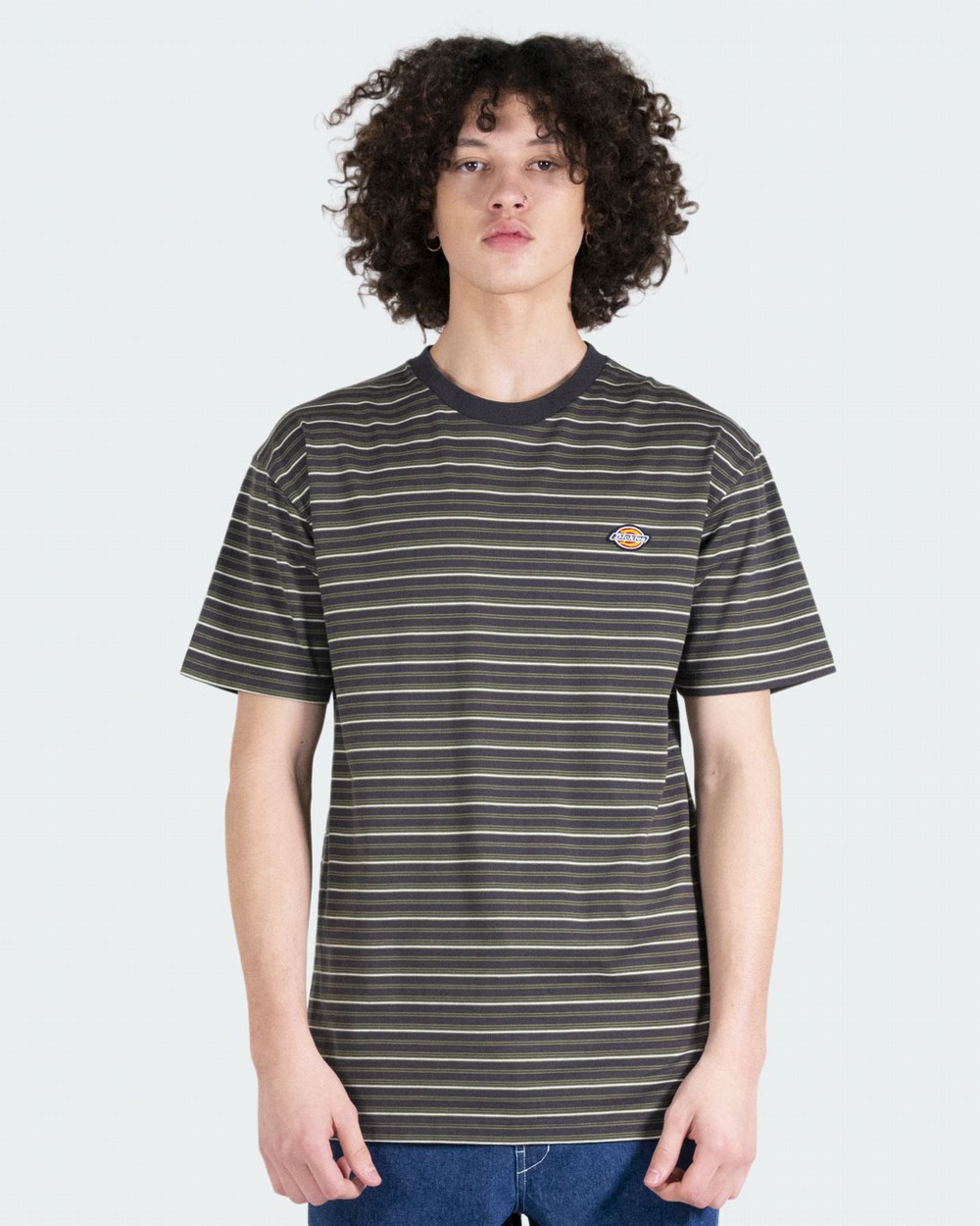 Rockwood Ministripe Classic Fit S/S Tee | Dickies Australia