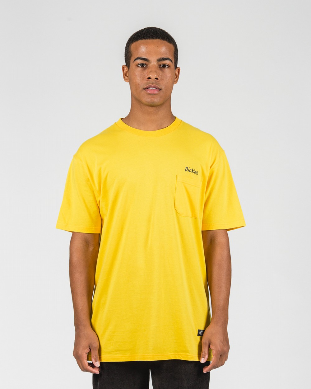 Stamford Classic Fit Tee | Dickies Australia